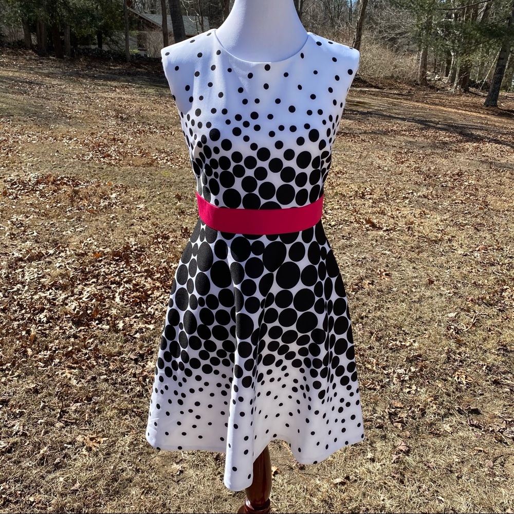 SANDRA DARREN DRESS FIT FLARE WHITE BLACK DOT Size 6